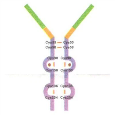 Dulaglutide - Dyabèt (Wout recombinant), Dyabèt Bulk , Nimewo CAS: 923950-08-7